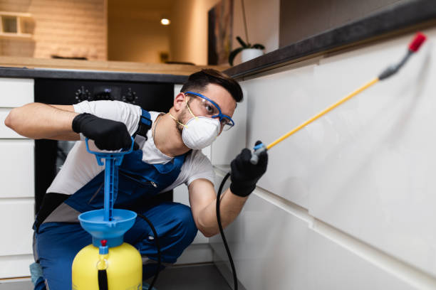  Spring, TX Pest Control Pros