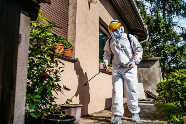 Best Best Pest Control Companies  in Spring, TX
