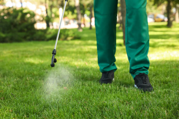 Best Exterminator Services  in Spring, TX