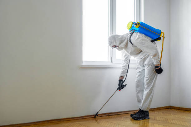 Reliable Spring, TX Pest Control Solutions