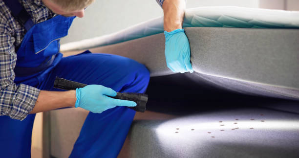 Best Commercial Pest Control Services  in Spring, TX