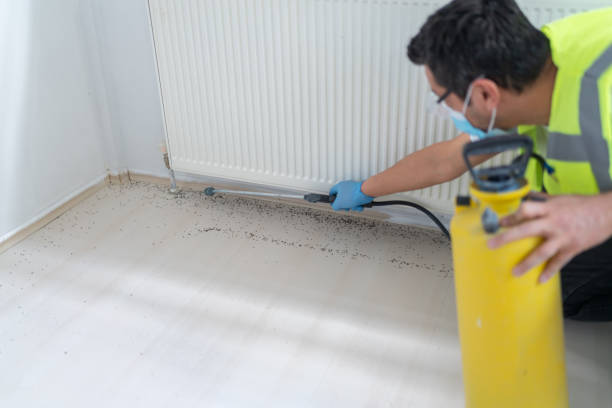 Best Pest Removal Services  in Spring, TX